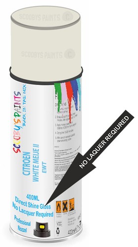 Aerosol spray paint for - spray,