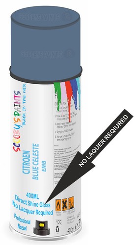 Aerosol spray paint for - paint,
