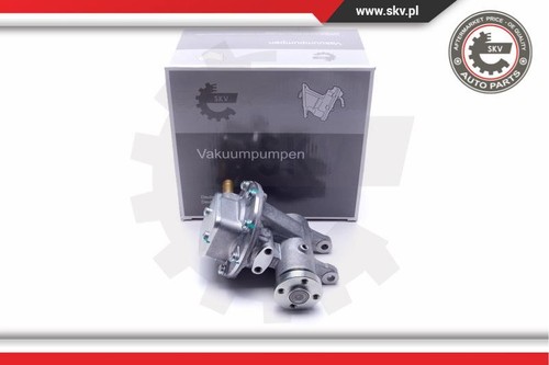 Vacuum pump skv for - pump, citroen