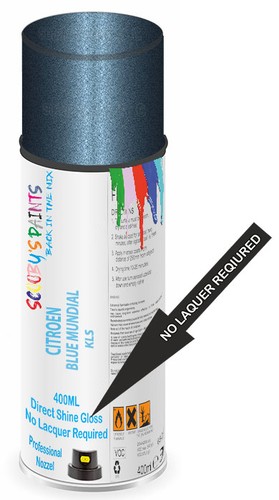 Aerosol spray paint for - spray,