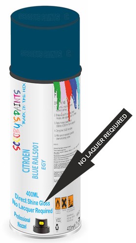 Aerosol spray paint for - spray,