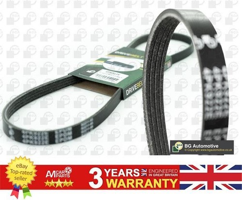 Ribbed belt for citroen - belt,