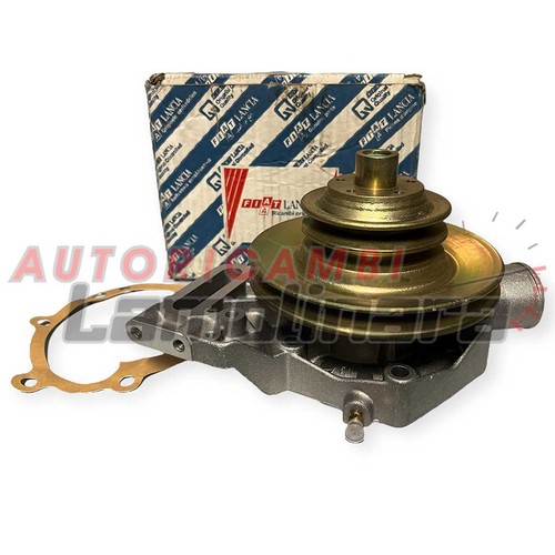 5548541 fiat water - fiat,