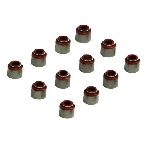 Valve stem seal kit - seal, pieces)