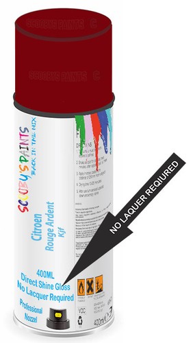 Aerosol spray paint for - spray,