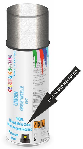 Aerosol spray paint - spray, for