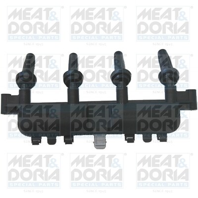 Fits meat doria - fits,