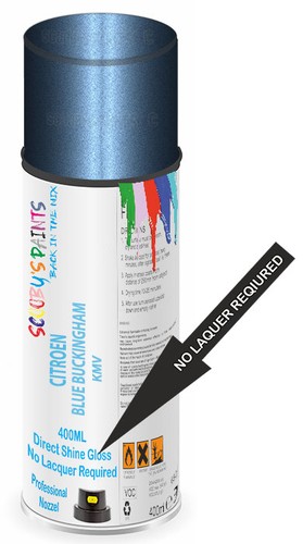 Aerosol spray paint for - paint,