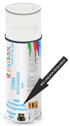 Aerosol spray paint for - aerosol,