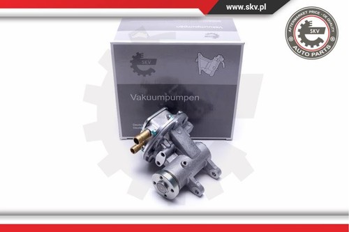 Vacuum pump skv for citroen - skv,