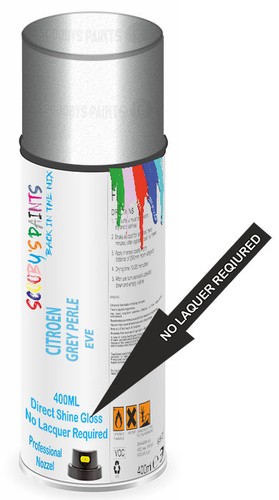Aerosol spray paint for - paint,
