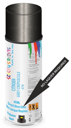 Aerosol spray paint for - aerosol,