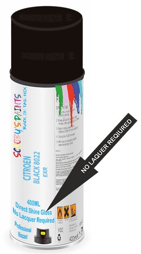 Aerosol spray paint - paint, for