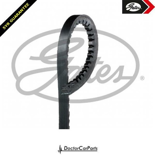 Vacuum pump belt - vacuum,
