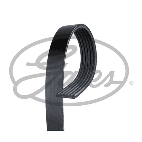 Rib multi drive belt for - rib,