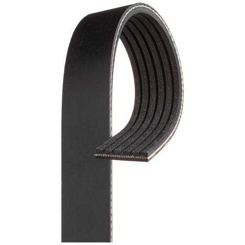 Rib multi drive - drive, belt