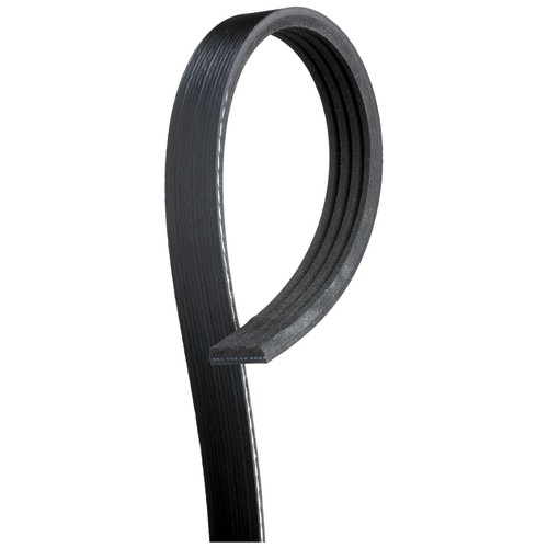 Rib multi drive belt for - drive,